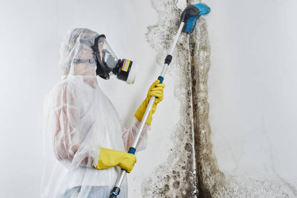 Best Crawl Space Mold Removal  in Winters, TX