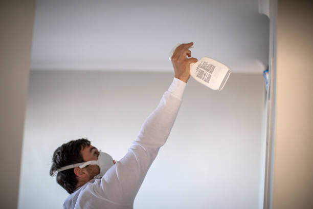 Best Mold Cleaning Services  in Winters, TX