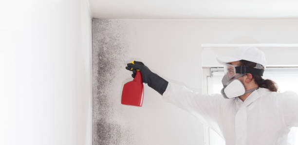 Crawl Space Mold Removal in Winters, TX